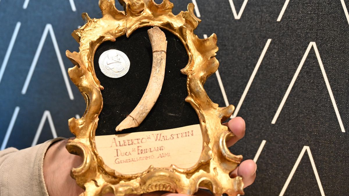 Objevila se patrně klíční kost Albrechta z Valdštejna, sběratel unikát léta tajil